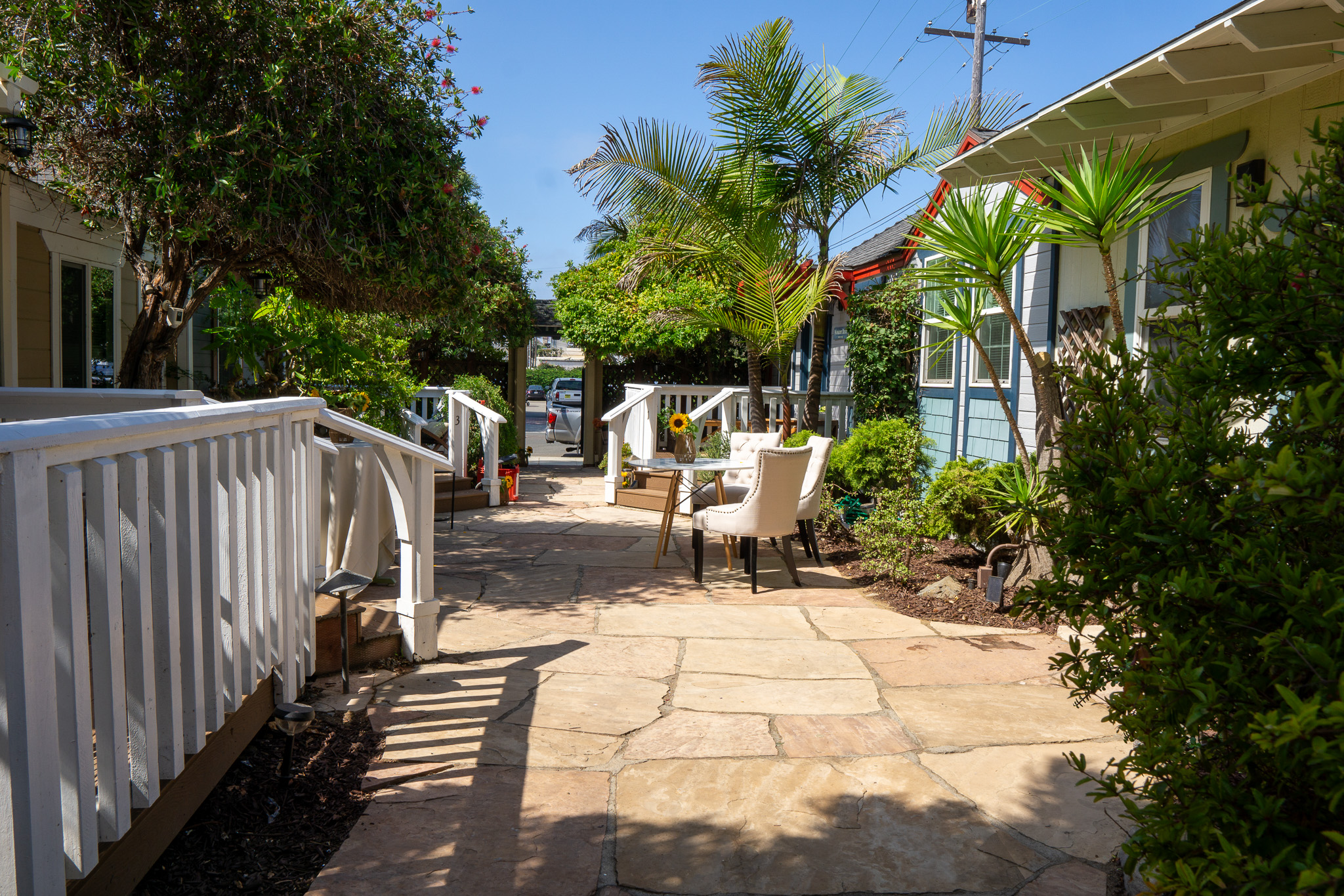 Group therapy-style outdoor meeting on the patio, surrounded by coastal palm trees.